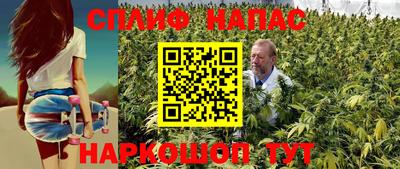 крисы Лесосибирск