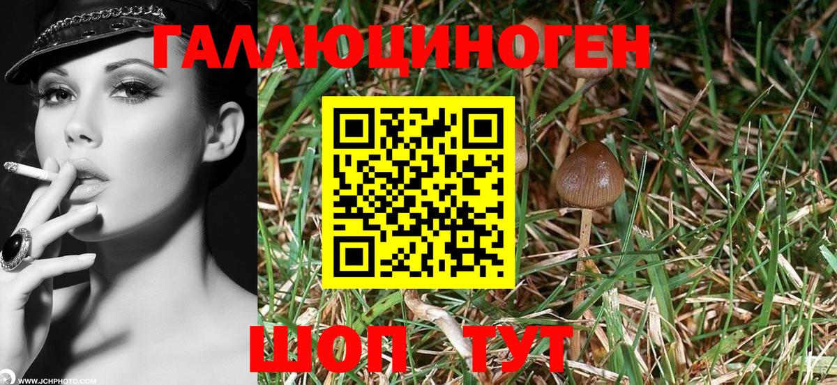 Галлюциногенные грибы Magic Shrooms Щёлково
