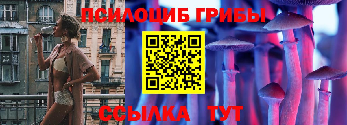 Псилоцибиновые грибы Psilocybe  Вход с VPN  Щёлково 